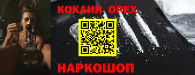 гашик Будённовск