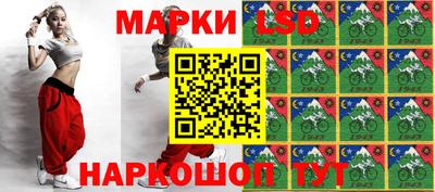 гашик Будённовск