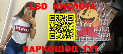 гашик Будённовск