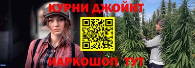 гашик Будённовск