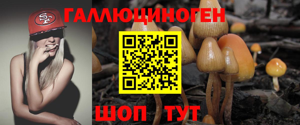 Отрадное  Галлюциногенные грибы Psilocybe  Галлюциногенные грибы GOLDEN TEACHER  Вход с VPN 